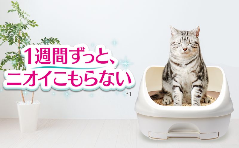 猫 トイレ デオトイレ 4L×2袋 緑茶成分入り消臭・抗菌サンド 静岡県 島田市