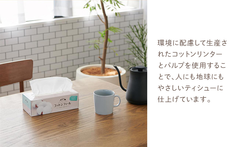 ãšãªãšãŒã« ã³ããã³ãã£ãŒã«ãã£ã·ã¥ãŒ150W5ç®±Ã10ã»ãã åèš50ç®±ãæ¥çšå æ¶èå çæŽ»çšå ãã£ãã·ã¥ ãã£ãã·ã¥ããŒã㌠ããã¯ã¹ãã£ãã·ã¥ ãµããã ããããã é岡ç å³¶ç°åž