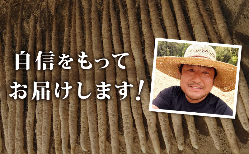 冷凍とろろ汁（かつお出汁）215g 2個 3ヶ月定期便 とろろ 自然薯 じねんじょ 山芋 山かけ とろろご飯 そば うどん 小分け 冷凍 静岡 島田市