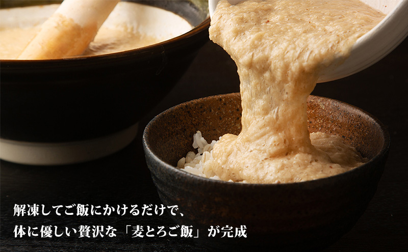 冷凍とろろ汁（さば味噌汁）225g 2個 12ヶ月定期便 とろろ 自然薯 じねんじょ 山芋 山かけ とろろご飯 そば うどん 小分け 冷凍 静岡 島田市