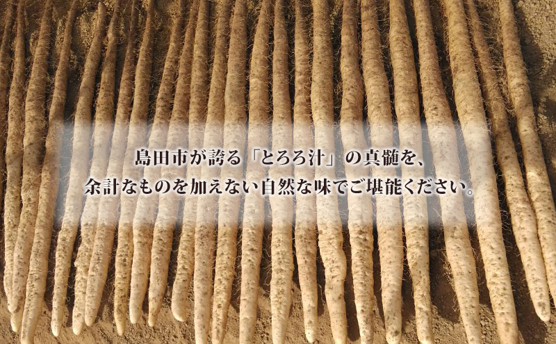 冷凍とろろ汁（かつお出汁）215g 2個 12ヶ月定期便 とろろ 自然薯 じねんじょ 山芋 山かけ とろろご飯 そば うどん 小分け 冷凍 静岡 島田市