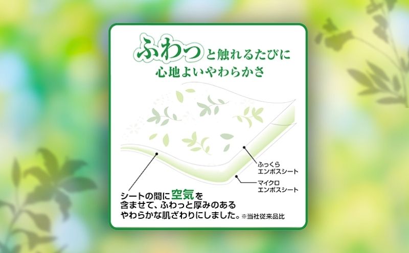 トイレットペーパー エリエール トイレットティシュー リーフプリント 12ロール ダブル 6個 セット トイレ ペーパー 日用品 消耗品 静岡 静岡県 島田市
