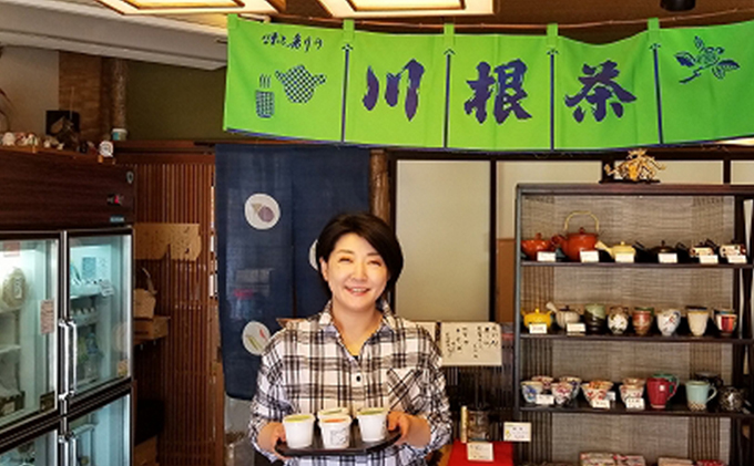 川根茶 ジェラート セット 10個入り (5種×2) 詰め合わせ 煎茶 紅茶 抹茶 アイス アイスクリーム デザート スイーツ お菓子 菓子 おやつ 静岡 静岡県 島田市