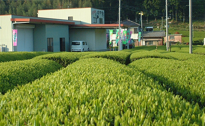 【2024年5月6日より順次発送】おおはしり新茶 100g×2本セット