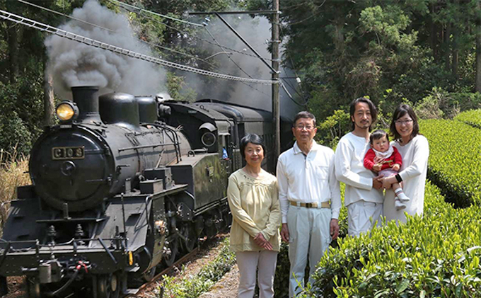 深蒸し 新茶 お試し 6種 ティーバッグ 4種 セット 詰め合わせ イケメン農家 佐京園 緑茶 和紅茶 ほうじ茶 玄米茶 水出し 水出し茶 水出し緑茶 深蒸し茶 深蒸し煎茶 煎茶 日本茶 お茶 茶 飲み物 飲料 ドリンク 静岡茶 静岡 静岡県 島田市