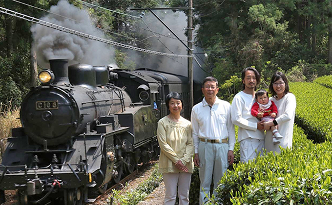 イケメン茶農家　佐京園　深蒸し新茶大入りティーバッグ＆ティーバッグ4種セット