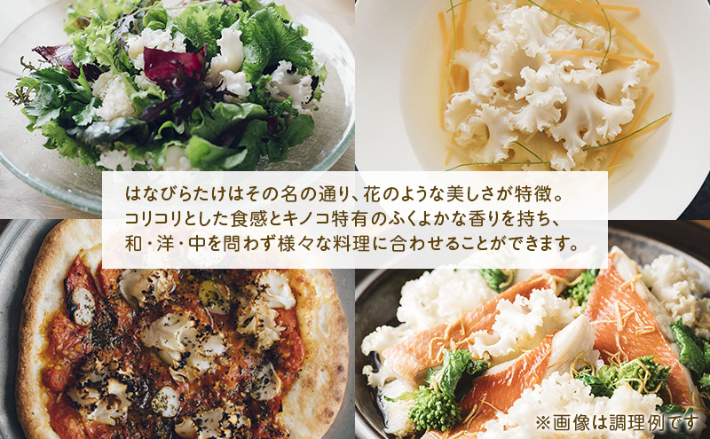 ãããã¿ã± ã¯ãªã³ããã 80g 10ãã㯠幻ã®ãã®ã ãããã©ã¿ã± å¹» ãã®ã ããã³ ããçŒã ã¢ããŒãžã§ 倩ã·ã ã¹ãŒã é岡 é岡ç å³¶ç°åž