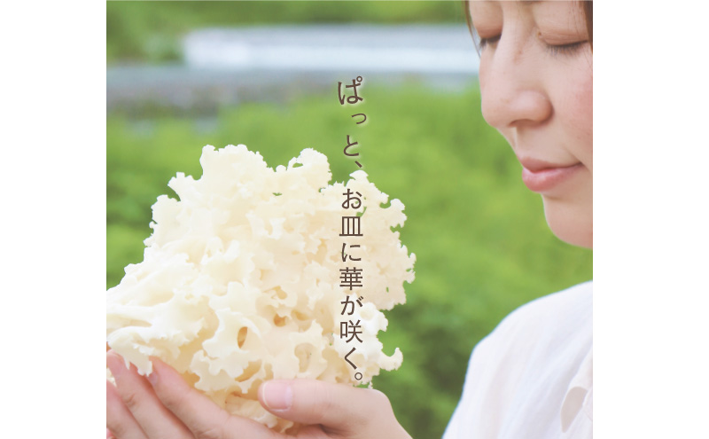 ãããã¿ã± ã¯ãªã³ããã 80g 10ãã㯠幻ã®ãã®ã ãããã©ã¿ã± å¹» ãã®ã ããã³ ããçŒã ã¢ããŒãžã§ 倩ã·ã ã¹ãŒã é岡 é岡ç å³¶ç°åž