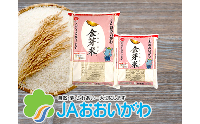 無洗米 静岡県産 JAおおいがわ 金芽米 5kg 米 こめ コメ お米 おこめ 白米 きんめまい JA きぬむすめ ご飯 ライス 静岡 静岡県 島田市 【配送不可：北海道・沖縄・離島】