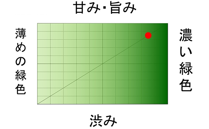 初物深蒸し水出ティーバッグ（5g×12個）×2本、深蒸し新茶100g×2本【2024年5月中旬以降より順次発送】