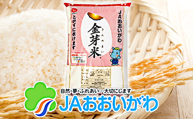 無洗米 静岡県産 JAおおいがわ 金芽米 5kg 3袋 (合計15kg) 米 こめ コメ お米 おこめ 白米 きんめまい JA きぬむすめ ご飯 ライス 静岡 静岡県 島田市 【配送不可：北海道・沖縄・離島】