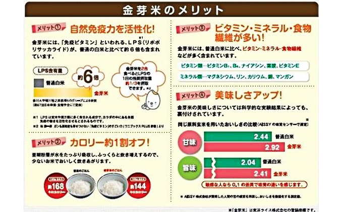 無洗米 静岡県産 JAおおいがわ 金芽米 5kg 3袋 (合計15kg) 米 こめ コメ お米 おこめ 白米 きんめまい JA きぬむすめ ご飯 ライス 静岡 静岡県 島田市 【配送不可：北海道・沖縄・離島】