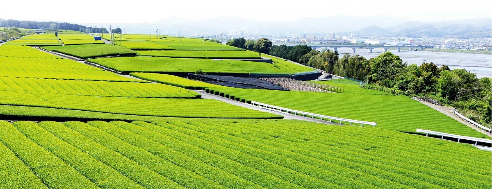 静岡県島田市