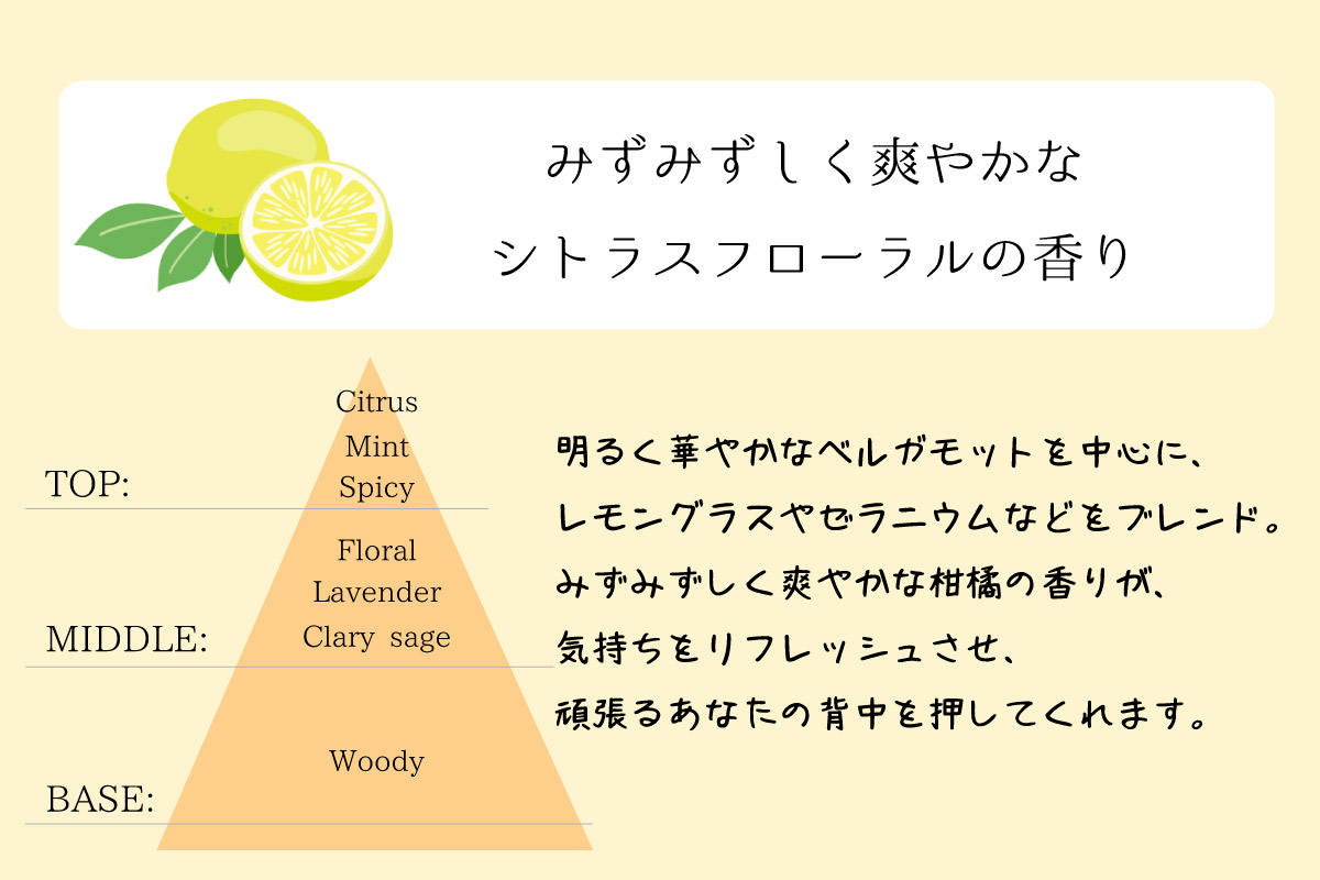 うるおい成分をたっぷり配合！無添加処方の おぷろボディソープⅡ(4個) [sf106-004]