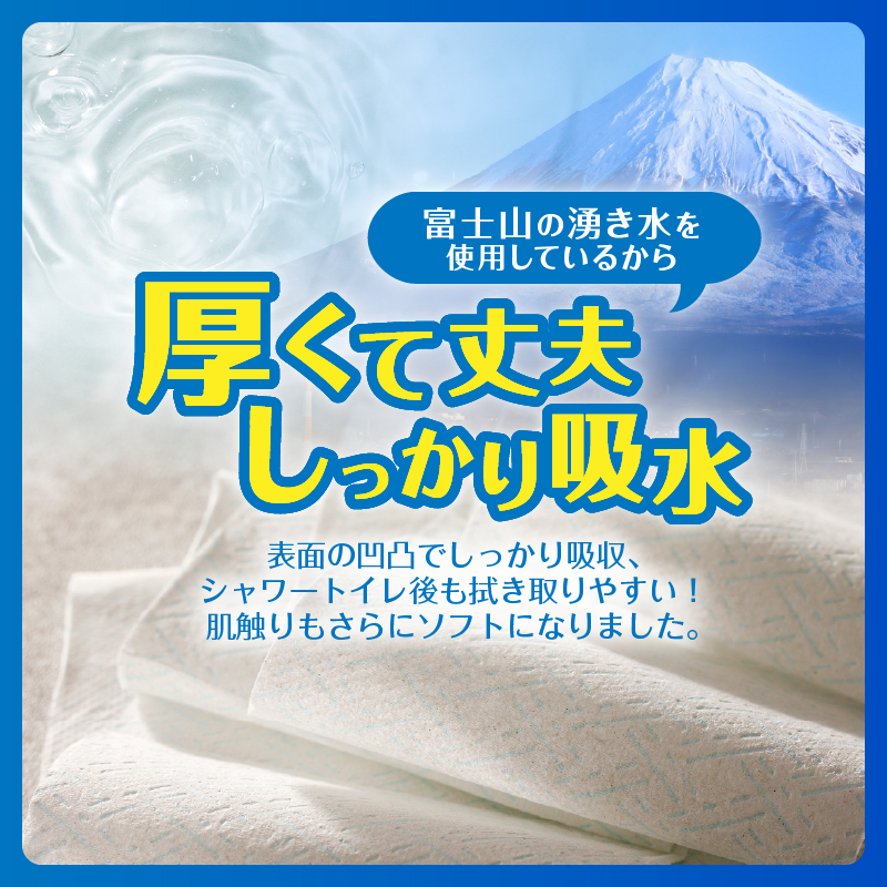 3955 トイレットペーパー「プレミアムシンラ」2パック [sf001-270]