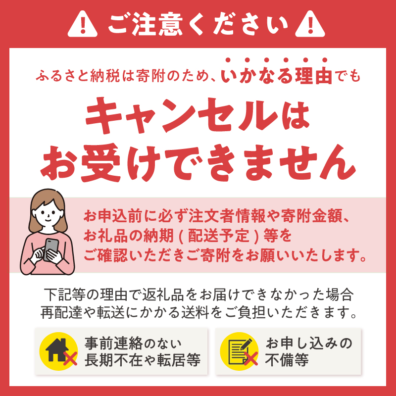 ç·è¶ã®åãã€ã¬ããããŒã㌠ã·ã³ã°ã« 12RÃ2ãã㯠sf002-621