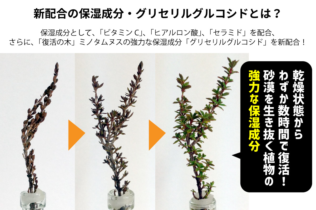 うるおい成分をたっぷり配合！無添加処方の おぷろボディソープⅡ(3個) [sf106-003]