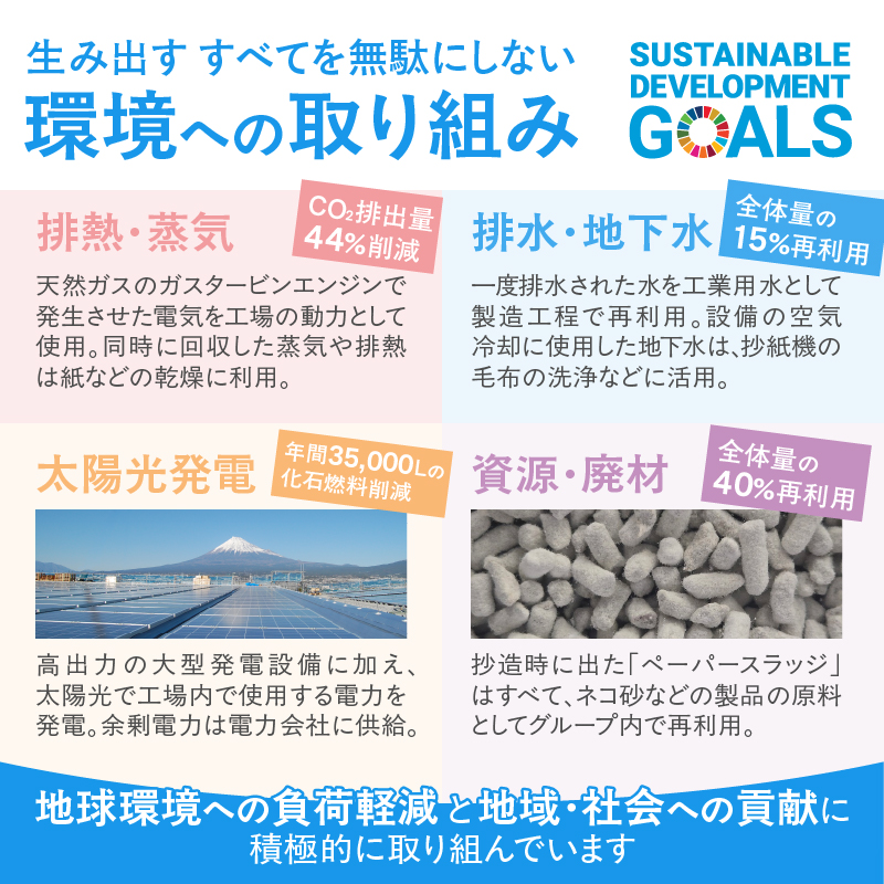 3824 定期便【全3回】【毎月発送】ソフモフ トイレットペーパー ダブル無香料12ロール1パック [sf002-439]