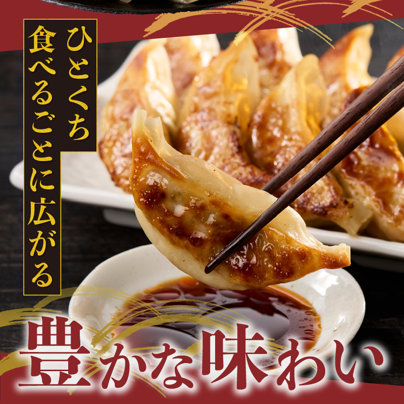 紫蘇餃子(30個)とニンニクのスタミナ餃子(30個) [sf001-224]