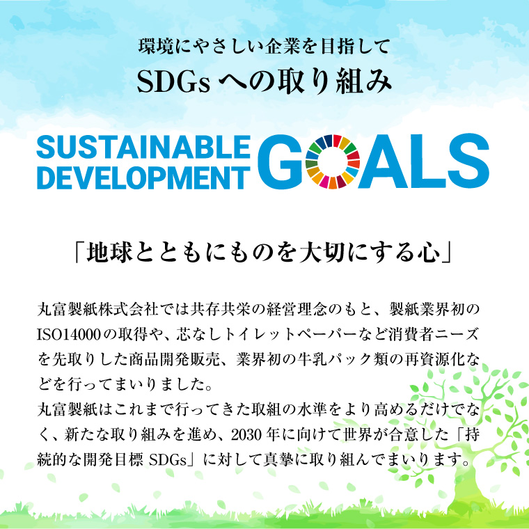 花束ふっくらやわらかトイレットペーパー12R贅沢トリプル96ロール（1604）