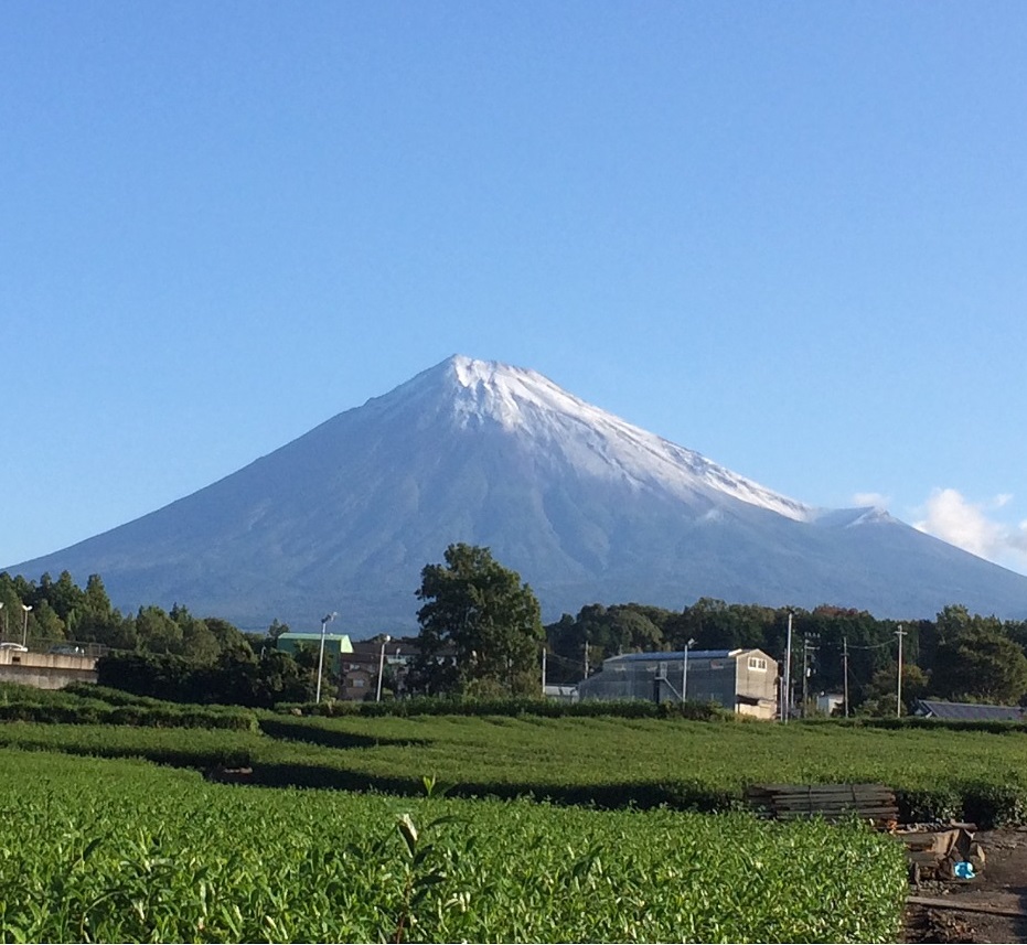 富士山麓の老舗お茶屋村松園の特上煎茶２種と簡単便利ティーパックと和スイーツ詰合せセット(a1027)