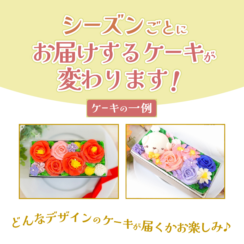おはなと動物のあん(餡)ケーキ 季節限定BOX [sf002-382]