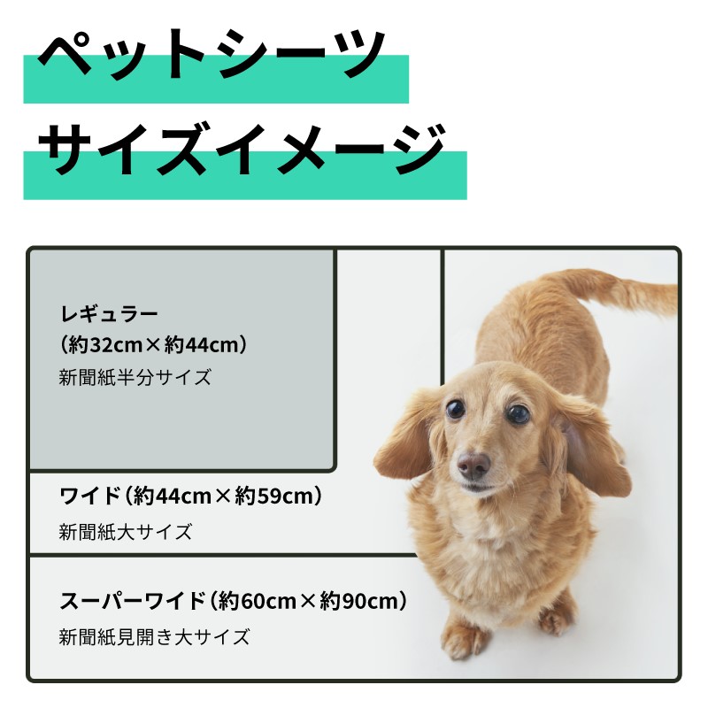 パワーシート ペットシーツ ワイド 厚型 48枚×4袋 香り付き ユーカリ 青色 おしっこ トイレ 吸収 消臭 抗菌 3回分 ワン 犬 いぬ まとめ買い ペット用 消耗 衛生 防災 備蓄 日本製 国産 SDGs サノテック 静岡 富士市(1429)