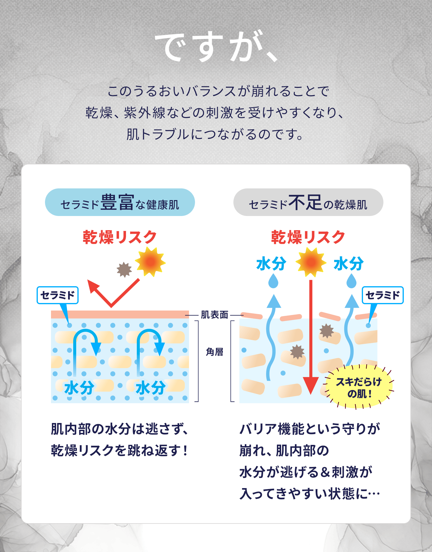 DHCセラミドモイスチュア 機能性表示食品 30日分 2個(60日分)セット [sf014-025]