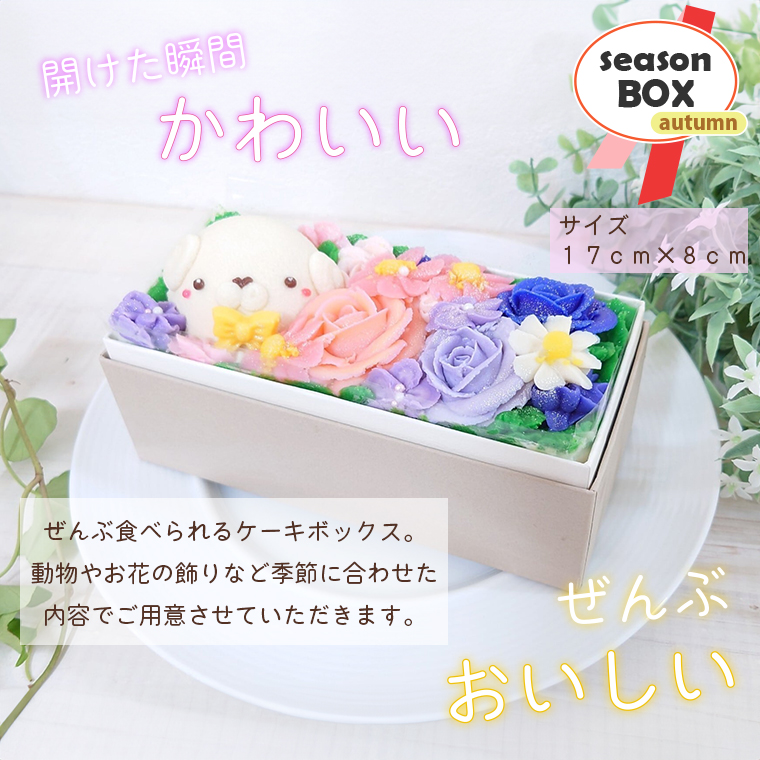 おはなと動物のあん(餡)ケーキ 季節限定BOX [sf002-382]