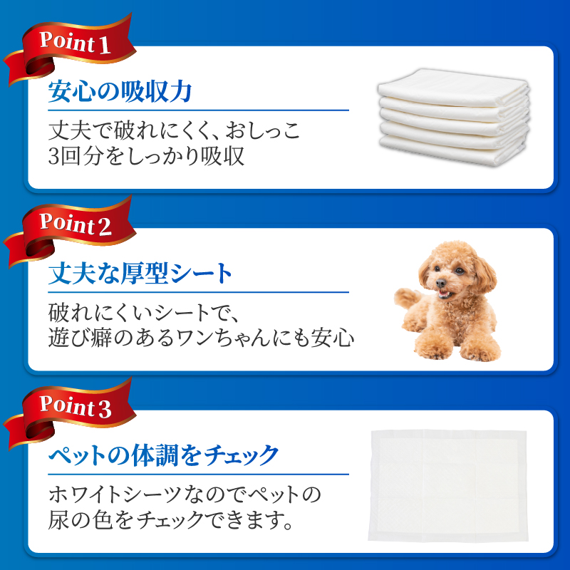 定期便【全6回】【極】シリーズ　犬用ペットシーツ　厚型レギュラー　96枚　ペットシート　日本製 [sf077-144]