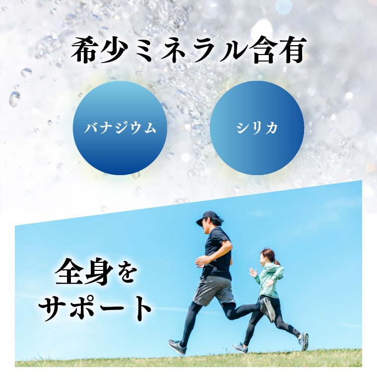 ミネラルウォーター「富士登山水」500ml×24本入　酸素ナノバブル水　(1442)