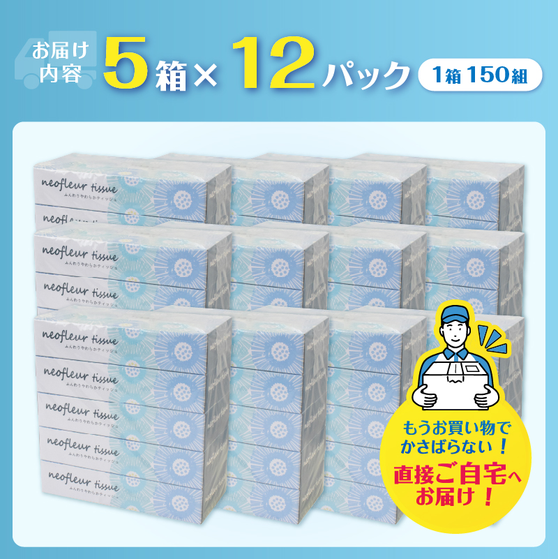 スリムボックスティッシュ 5箱 12パック 日用品 消耗品 備蓄 ティッシュペーパー [sf077-156]