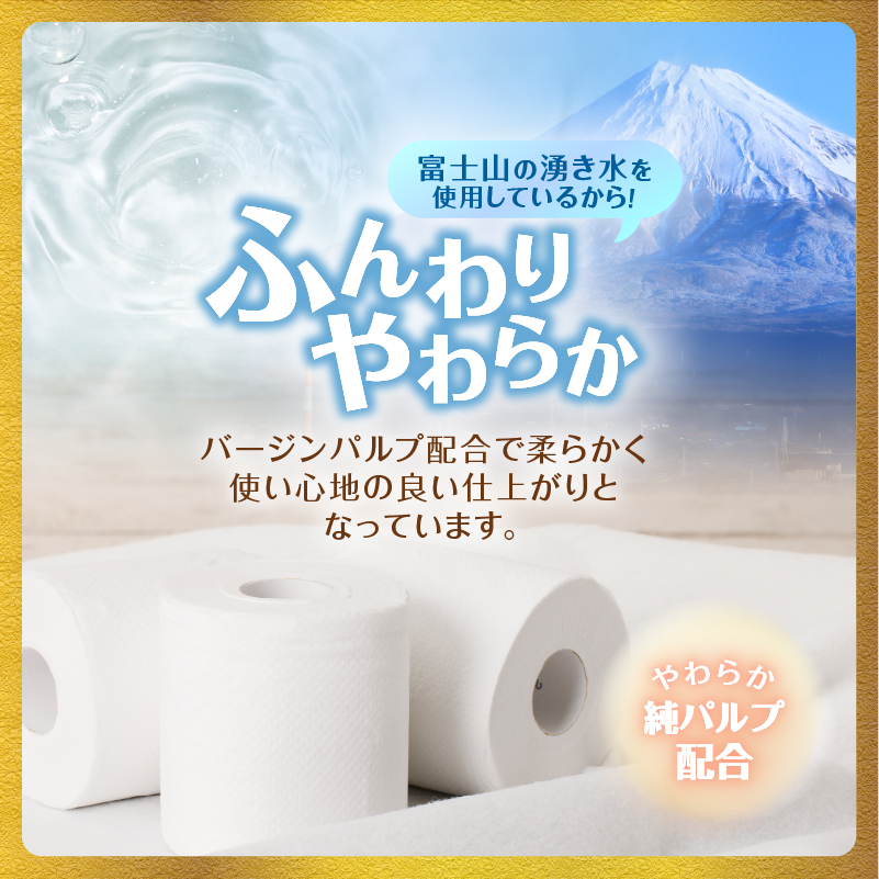 定期便【全6回毎月発送】エコロジープレミアム 12RW25.5トイレットペーパー2パック [sf002-506]
