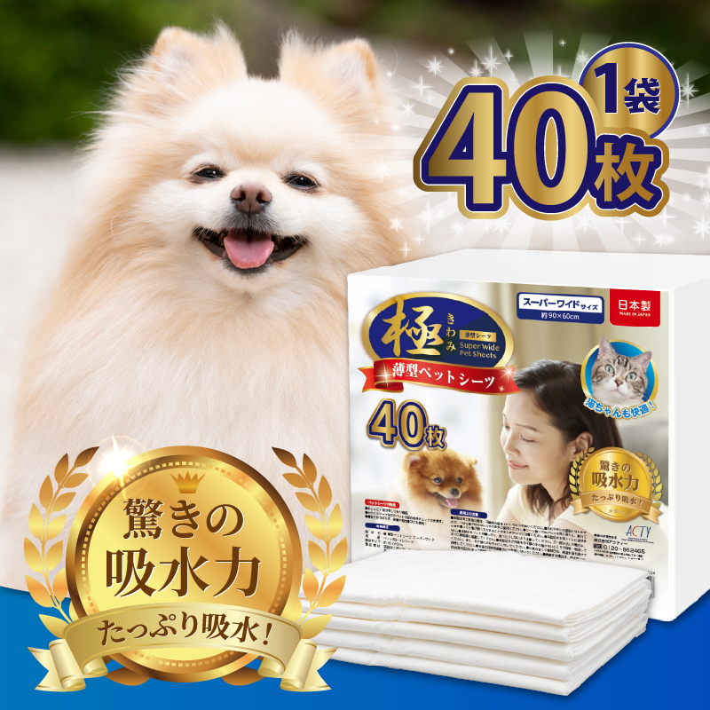 定期便【全12回】【極】シリーズ　犬用ペットシーツ　薄型スーパーワイド　40枚　ペットシート　日本製 [sf077-141]