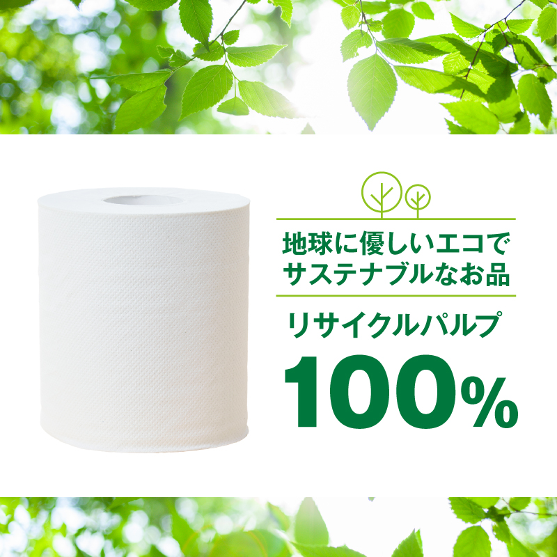 4200 トイレットペーパー ソフィール12Rシングル(96ロール) [sf115-001]