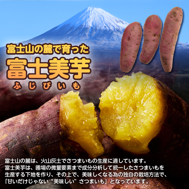 【先行予約】富士美芋 生４.５Kg さつまいも 甘い  期間限定 富士市 やわらか （2007）