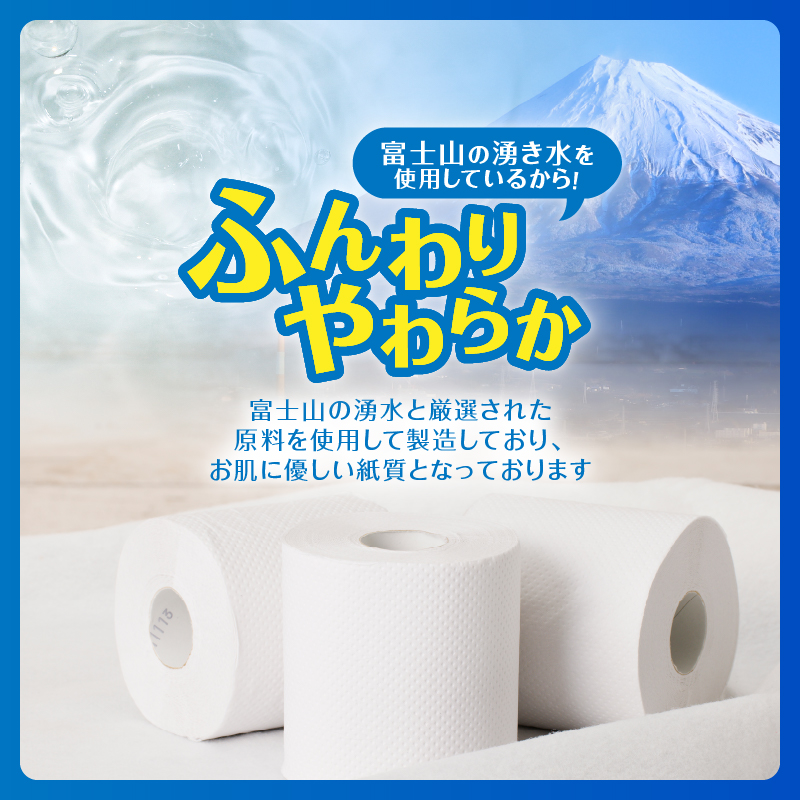 定期便【全6回】【毎月発送】エコロジートイレットペーパー ダブル12ロール1パック [sf002-448]