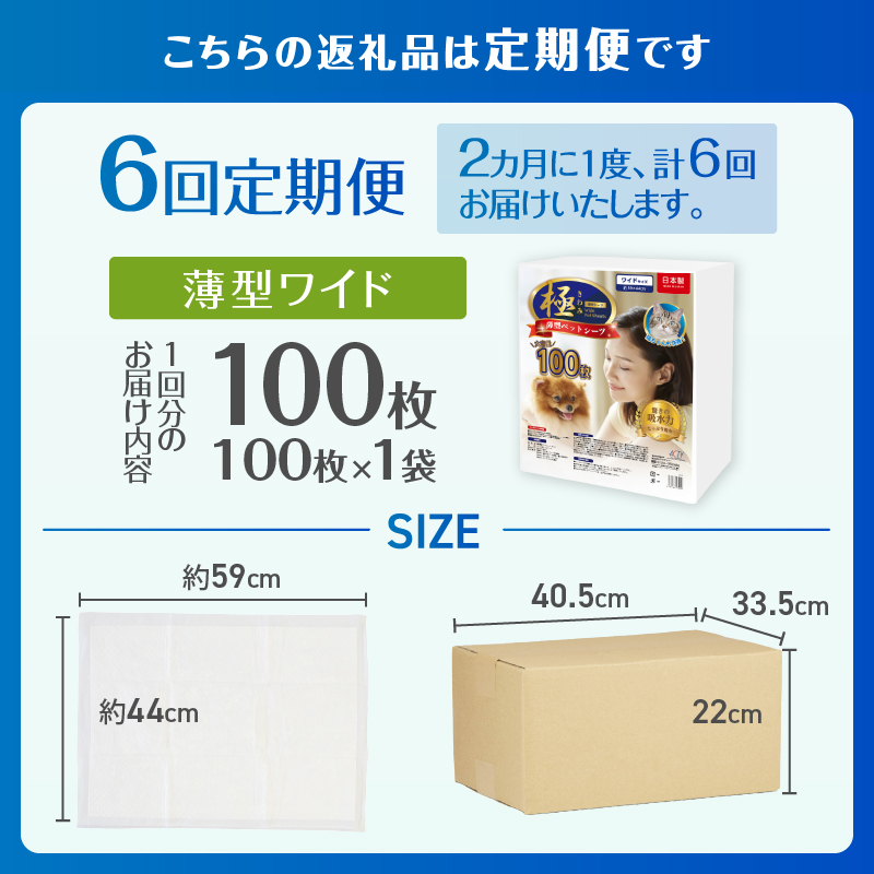 定期便【全6回】【極】シリーズ　犬用ペットシーツ　薄型ワイド　100枚　ペットシート　日本製 [sf077-140]