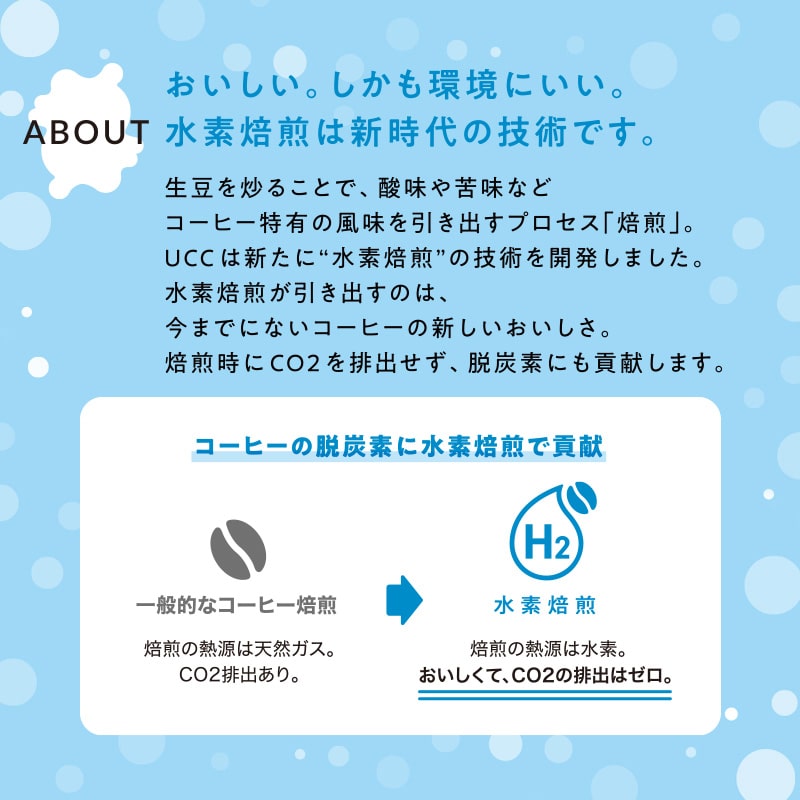 4273 CN 水素焙煎コーヒーシティロースト豆 300g [sf124-001]