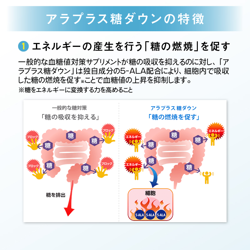 SBIアラプロモ「アラプラス糖ダウン」30日分(a1242)