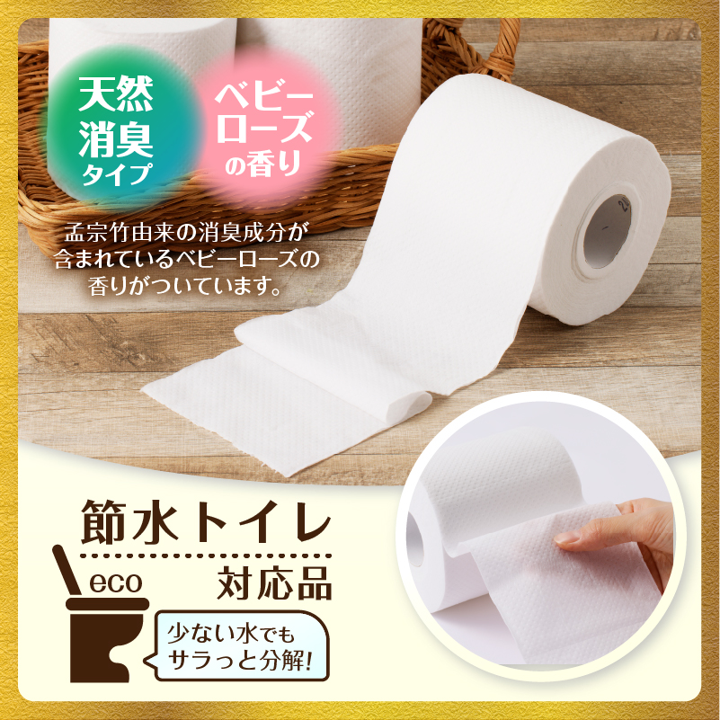 定期便【全6回毎月発送】エコロジープレミアム 12RW25.5トイレットペーパー2パック [sf002-506]