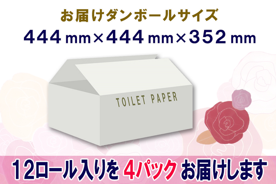 定期便 【全4回】トイレットペーパー　ダブル　12個×4パック　長巻きカラーロール [sf077-106]