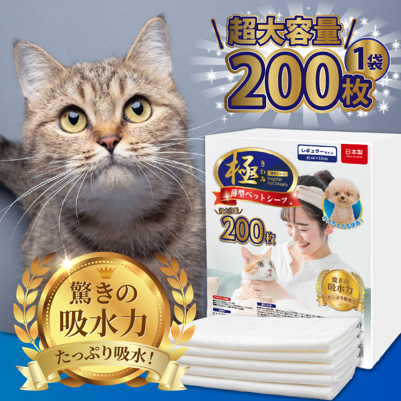定期便【全6回】【極】シリーズ　猫用ペットシーツ　薄型レギュラー　200枚　システムトイレ用　日本製 [sf077-148]