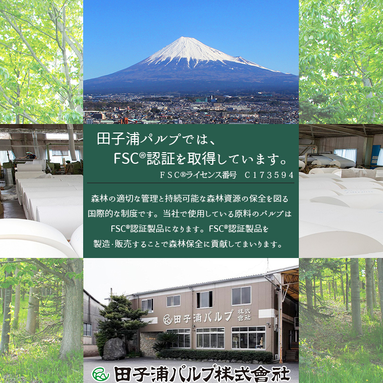 【配送2個口】ソフトパックピロ包装高級ティッシュ200W100個入 詰め替えにぴったり 国産 箱なし [sf002-608]