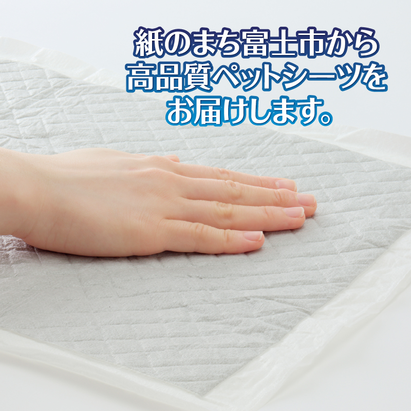 ネオシーツ＋カーボンＤＸレギュラー 88枚入×4パック (a1481)