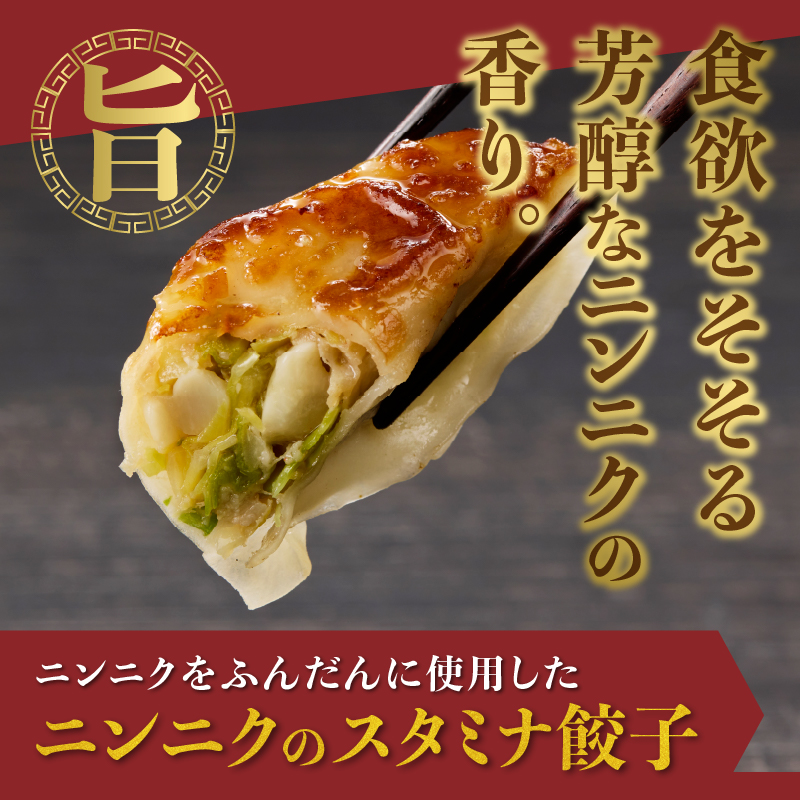 紫蘇餃子(20個)とニンニクのスタミナ餃子(20個) [sf001-223]