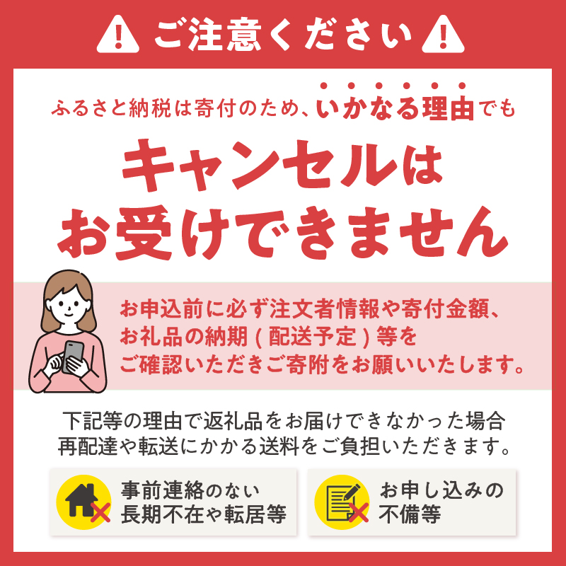 定期便 年3回 ペットシート こまめだワン ワイド ペットシーツ80枚×4パック（1703）