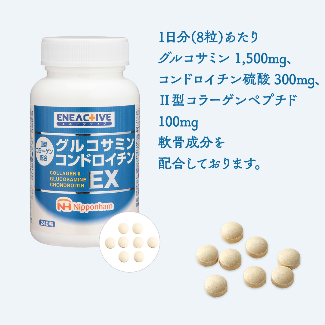 【定期便12カ月】グルコサミンコンドロイチン [sf069-005]