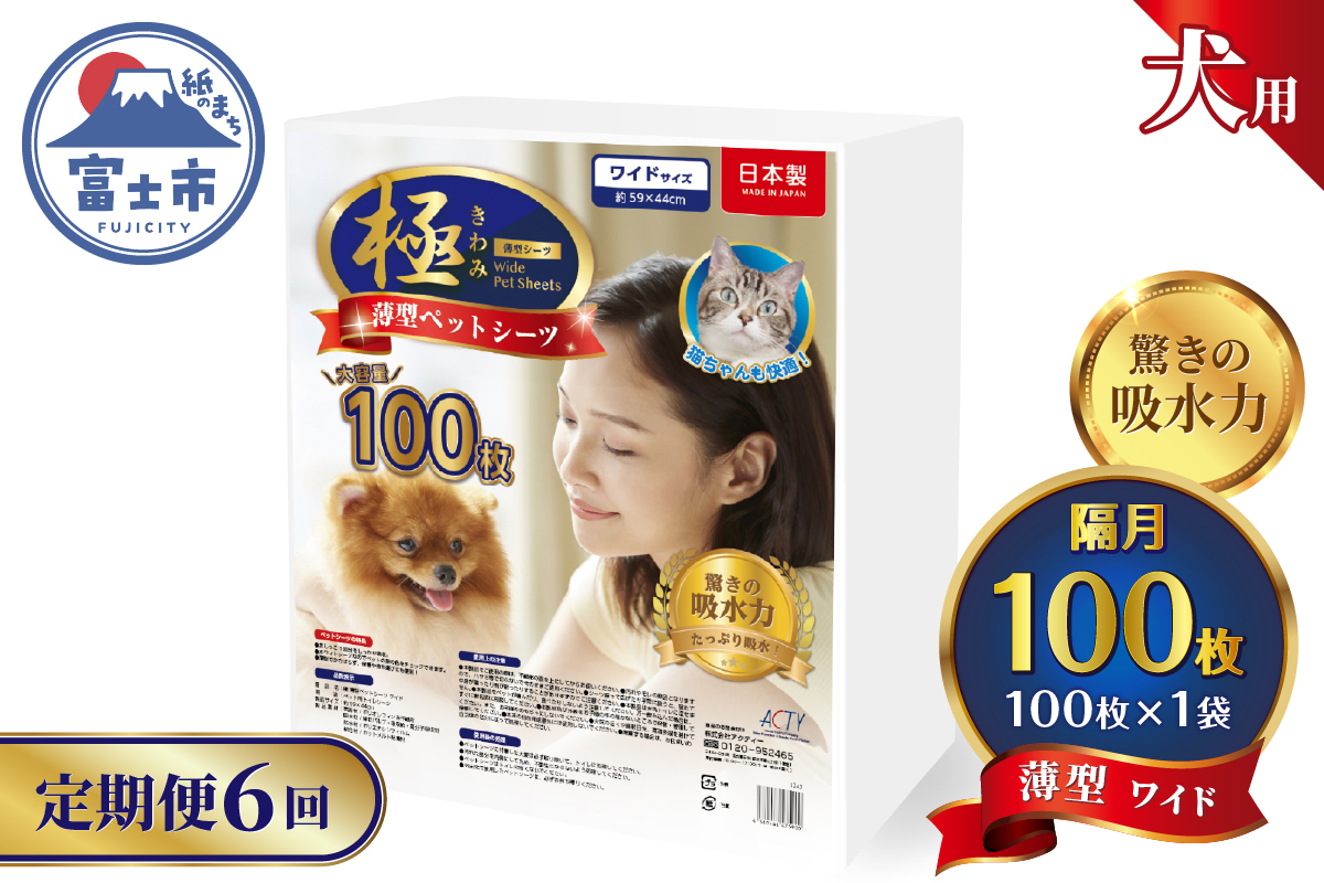 定期便【全6回】【極】シリーズ　犬用ペットシーツ　薄型ワイド　100枚　ペットシート　日本製 [sf077-140]
