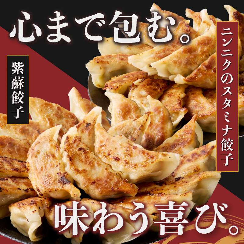 紫蘇餃子(30個)とニンニクのスタミナ餃子(30個) [sf001-224]
